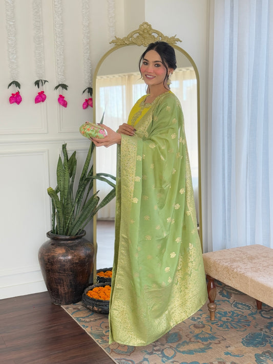 Meghna - A graceful kurti reflecting prosperity and beauty